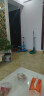 畅微 散尾葵盆栽 凤尾竹室内客厅大型绿植袖珍椰子夏威夷盆景富贵叶子 高度50左右厘米5棵 不含盆 实拍图