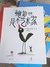藝術(shù)家鮑勃系列：鮑勃是個(gè)藝術(shù)家+鮑勃的藍(lán)色憂郁期+鮑勃玩波普（套裝3冊(cè)） 曬單實(shí)拍圖