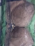 夢(mèng)黛錦2件裝蕾絲乳膠內(nèi)衣聚攏無(wú)鋼圈性感調(diào)整型收副乳文胸胸罩七夕禮物 櫻花紫+莫迪藍(lán)（2件裝） 40/90C 曬單實(shí)拍圖