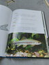 **原生魚diyi輯**原生魚圖鑒魚類活體原生觀賞魚圖鑒書集特色魚種類介紹書籍淡水魚野生魚溪流冷水魚科普書海洋生物知識書大全 曬單實(shí)拍圖