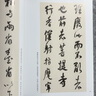 名家臨名帖系列 王鐸 八大山人臨《興福寺半截碑》對照 曬單實(shí)拍圖