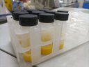 比克曼生物 湘玻玻璃樣品瓶無(wú)刻度試管密封瓶試劑瓶西林瓶螺口瓶無(wú)刻度棕色透明實(shí)驗室用取樣瓶 透明20ml100支 曬單實(shí)拍圖