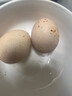 帷曼毛蛋農家生毛雞蛋雞胚蛋旺雞蛋營(yíng)養雞喜蛋酷語(yǔ)半毛半蛋非即食 40枚 1000g 曬單實(shí)拍圖