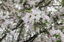 富士（FUJIFILM）XF10 數碼相機二手  卡片機 2420萬(wàn)像素 WIFI 4K 小 【二手99新】XF10 黑色 曬單實(shí)拍圖