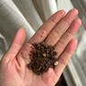 墨一【送貨上門(mén)】生石花多肉植物帶盆栽好石頭花屁股花帶盆栽好發(fā)貨 生石花專(zhuān)用營(yíng)養土500毫升 裸根不帶土 曬單實(shí)拍圖