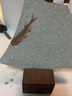 神至生物化石標本 遼西古生物狼鰭魚(yú)動(dòng)物裸板原石擺件科普教學(xué)SN5462 曬單實(shí)拍圖