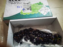愛鮮摘農(nóng)場云南藍(lán)莓夏黑葡萄【JD/順豐】無籽葡萄水果禮盒巨峰新鮮黑加侖 7A精選特級果【單果6-8g】 5斤裝【家庭裝-家庭暢吃】 曬單實拍圖