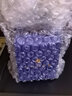 高仕（CROSS） 鋼筆配件常規非碳素墨水 NB501-3 藍黑色 曬單實(shí)拍圖
