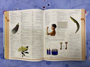 韋氏圖解詞典 英文原版 Merriam Webster's Visual Dictionary 麥林韋氏 韋氏詞典 百科全書級別的圖解詞典 韋氏圖解詞典 百科全書級別的圖解詞典 曬單實拍圖