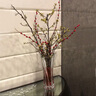 BOHEMIA波西米亞 捷克進(jìn)口水晶花瓶玻璃透明創(chuàng  )意花瓶  插花花器北歐擺件 33cm高 曬單實(shí)拍圖