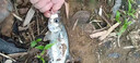 釣嗨尼 磯釣浮漂遠(yuǎn)投滑漂海釣專用立漂夜光漂船磯鰱鳙漂大物漂超醒目魚漂 1.0#三角尾電子漂（自重35克-吃鉛10克）日夜 適合遠(yuǎn)投/磯釣/海釣/釣鰱鳙/釣大物 曬單實(shí)拍圖