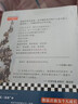 悲傷之鏡 龔古爾獎得主勒邁特雄心勃勃的天上再見三部曲收官之作 2020法國年度文學10佳小說 圖書 曬單實拍圖