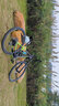 UCC 運(yùn)動自行車金剛29RACE 12S山地車 碳纖維車架 SRAM變速系統(tǒng) Shima剎車系統(tǒng) 翡翠黑 12速 S建議163-172 29英寸 曬單實拍圖