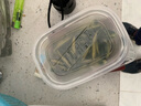 樂(lè )路t尾軟餌魚(yú)淡水路亞軟蟲(chóng)假餌T尾魚(yú)餌鉛頭鉤微物釣倒釣鱸魚(yú)鱖魚(yú)套裝 【50條/盒】9cm/T尾(紅頭白身) 曬單實(shí)拍圖