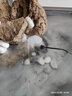 共度（Gong Du）霧化器 噴泉水景魚缸水族箱超聲波霧化器 假山盆景水族造霧器 無(wú)燈款霧化器 曬單實(shí)拍圖