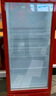 希冷（XILEN）冷熱雙溫熱飲柜飲料柜礦泉水柜展示柜冷藏保鮮柜超市便利店立式冰柜牛奶保溫柜商用冰箱 燈箱款冷熱柜【HC-320】 曬單實(shí)拍圖
