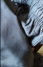 真维斯（JEANSWEST）裤子男夏季冰丝速干男士轻薄透气跑步健身运动风宽松束脚休闲长裤 黑色 纯色 L【推荐110-125斤】 实拍图