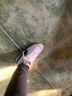 NIKE耐克男鞋 新Blazer Mid 77開(kāi)拓者復古拼接休閑運動(dòng)板鞋 DD3111-100 42.5 曬單實(shí)拍圖
