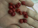 相思豆散珠手工diy手串鏈配件紅豆菩提原籽珠子打孔飾品配飾 豎孔-50顆 曬單實(shí)拍圖
