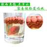 再寵血鸚鵡魚(yú)食魚(yú)糧增紅增色增艷魚(yú)飼料錦鯉魚(yú)食南極磷蝦干烏龜糧龍魚(yú) 血鸚鵡魚(yú)食3200ML增紅款 曬單實(shí)拍圖