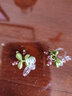 相思樹 有朵花兒感鑲花瓣耳釘撞色樹葉幾何無耳洞耳飾女 無耳洞（耳夾） 一對 曬單實(shí)拍圖