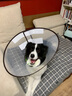 DogLemi狗狗加長(zhǎng)加深伊麗莎白圈大狗罩脖圈金毛阿拉斯加防咬防舔脖圈狗 綠色 XXL碼（中大型蘇牧羅威納犬等） 曬單實(shí)拍圖