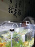 森森（SUNSUN） 魚缸燈LED燈 水族箱照明燈 魚缸夾燈 草缸燈  水族照明設(shè)備 ADP300C配38-42cm魚缸4.5W 曬單實(shí)拍圖
