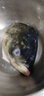 品鮮肴淡水魚(yú)頭生態(tài)花鰱魚(yú)頭 胖頭魚(yú)頭 鳙魚(yú)頭漁民現捕鮮活魚(yú)現殺生鮮水 2.2-2.3kg（凈膛）現殺1只5.5斤 曬單實(shí)拍圖