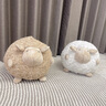 萌迪貓圓球羊抱枕 小綿羊公仔小羊毛絨玩具情侶北歐風(fēng)少女心布娃娃玩偶 白色圓羊球 約30厘米 曬單實(shí)拍圖