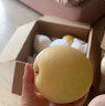 時(shí)寐正宗河北皇冠梨水果當季現摘整箱梨子超甜薄皮脆梨 3斤 大果 【味蕾盛宴脆甜購買(mǎi)率90％】 曬單實(shí)拍圖