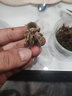 爬蟲(chóng)透明水盆喝水碗菜盤(pán)蜥蜴蛇蜘蛛守宮烏龜蝎子蜈蚣蟋蟀 玻璃水盆一個(gè) 曬單實(shí)拍圖
