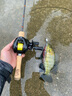 釣邦奇鱒馬口竿鱒魚竿微物路亞竿高碳FUJI導(dǎo)環(huán) 1.68m 2節(jié)款-UL槍柄 曬單實(shí)拍圖