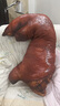 蝸牛卷仿真豬蹄抱枕網(wǎng)紅豬蹄搞怪整蠱靠枕創(chuàng  )意玩偶布娃娃送女友生日禮物 1.1米大豬蹄子 收藏產(chǎn)品給20cm小豬蹄 曬單實(shí)拍圖