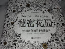 秘密花园套装：秘密花园+魔法森林（套装共2册） 实拍图