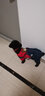 嬉皮狗（hipidog）狗狗衣服小型犬寵物秋冬保暖泰迪比熊博美可愛(ài)小狗四腳秋冬裝 紅色牛仔小熊（加絨） XL（建議體重11-15斤） 曬單實(shí)拍圖
