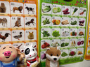 嬰幼兒有聲掛圖凹凸水晶立體掛圖 乖寶寶高清數(shù)字早教拼音發(fā)聲識字卡語音玩具 兒童認(rèn)知早教啟蒙認(rèn)水果蔬菜 認(rèn)知3件組：水果+蔬菜+動物世界 曬單實拍圖