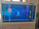 閩江生態(tài)魚(yú)缸上過(guò)濾水族箱客廳落地家用帶底柜鞋柜中大型玻璃金魚(yú)缸 長(cháng)120寬30高73.5【升級過(guò)濾不含柜】 曬單實(shí)拍圖
