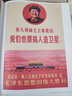 中國年畫1950-1990THE NEW CHINA:PICTURE中國復(fù)古年畫海報宣傳畫插畫冊 英文原版善本圖書 善本圖書 曬單實拍圖