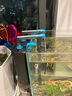 創(chuàng  )寧魚(yú)缸壁掛過(guò)濾器外置三合一小型循環(huán)泵除油膜增氧瀑布外掛草缸用品 8W【除油膜版】適合80cm內缸 曬單實(shí)拍圖