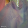 安踏兒童褲子女大童舞蹈系列針織打底褲A362429706 曬單實(shí)拍圖