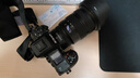 尼康（Nikon）【國行帶票】Z8單機身 全畫幅微單 專業(yè)級數(shù)碼相機 精準自動對焦8K視頻拍攝高速連拍 拍鳥 運動 Z8單機+Z 24-70 2.8S常規(guī)變焦 套餐二【至譽512G 8K版CFE卡+讀 曬單實拍圖
