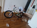 優(yōu)貝（RoyalBaby）兒童自行車男女童車腳踏車山地車6-7-10-12歲 小精靈20寸竹影綠 曬單實拍圖