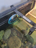 Atman魚(yú)缸加熱棒小型烏龜米缸自動(dòng)恒溫加溫器熱帶魚(yú)HCH THE 【藍頭升級 短款】適50-150L內缸 TH-300W 曬單實(shí)拍圖