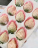 桃小蒙梦之莹淡雪白草莓 精品白雪公主白色奶油天使新鲜水果礼盒 【两盒装】500g白草莓22-30颗 实拍图