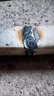 蘭博工業(yè)級電焊機(jī)220v 380v家用小型雙電壓兩用焊機(jī) 三相電 多板工業(yè)級315寬電壓 焊鉗+地鋏 曬單實拍圖