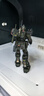 集模社斯巴達吉姆 PB限定 HG 1/144 局地戰(zhàn)用機潮玩高達拼裝模型 集模社-吉姆斯巴達【水貼+支架】 曬單實拍圖