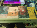 納尼亞傳奇Ⅰ：獅子、女巫和衣櫥（小書蟲讀經(jīng)典 余秋雨 梅子涵鼎力推薦） 小說(shuō) 曬單實(shí)拍圖