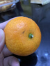 金秋砂糖橘500g 曬單實(shí)拍圖