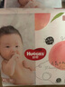 好奇（Huggies）鉑金裝紙尿褲XL64片 小桃褲系列嬰兒尿不濕 曬單實(shí)拍圖