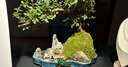 瀚林怡景小葉雀梅盆景山水假山植物樹(shù)樁造型老樁辦公室內客廳桌面綠植盆栽 山水石景（青釉） 雀梅 曬單實(shí)拍圖